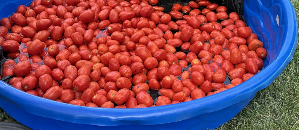 Our First Sauce Weekend: Stirring Up a New Family&nbsp;Tradition